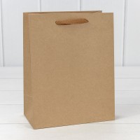 Пакет подарочный Крафт "Люкс" 18*23*10 210г 1/20 1/360 Арт: 000221E