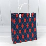 Пакет мягкий пластик Мужской (ассортимент) 23*26*10 1/20 1/200 Арт: BAS-2 - Пакет мягкий пластик Мужской (ассортимент) 23*26*10 1/20 1/200 Арт: BAS-2