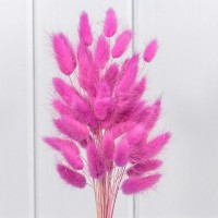 Сухоцветы "Лагурус" 60см (55±5 шт.) Тёмно-розовый 1/250 Арт: 420062/10