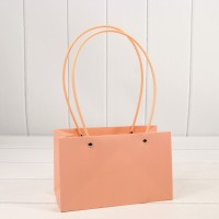 Пакет подарочный "Ваза для цветов" 22*13,5*10,5 Бежево-красный 1/10 1/120 Арт: 000170EA/4033