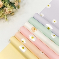 Плёнка 001386 0,58*10 м